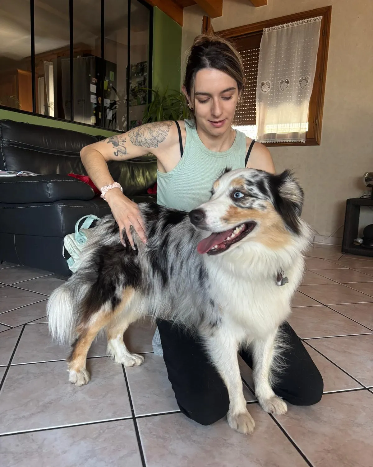 Isabelle Fourcade en séance avec un chien allongé et détendu, à domicile