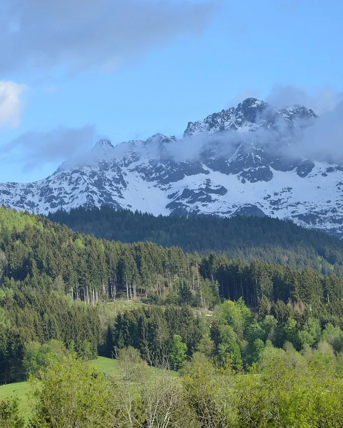 Le massif de Belledonne au-dessus des forêts